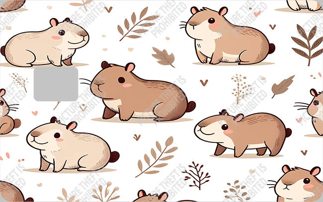 Bank  Card Sticker-BC-133